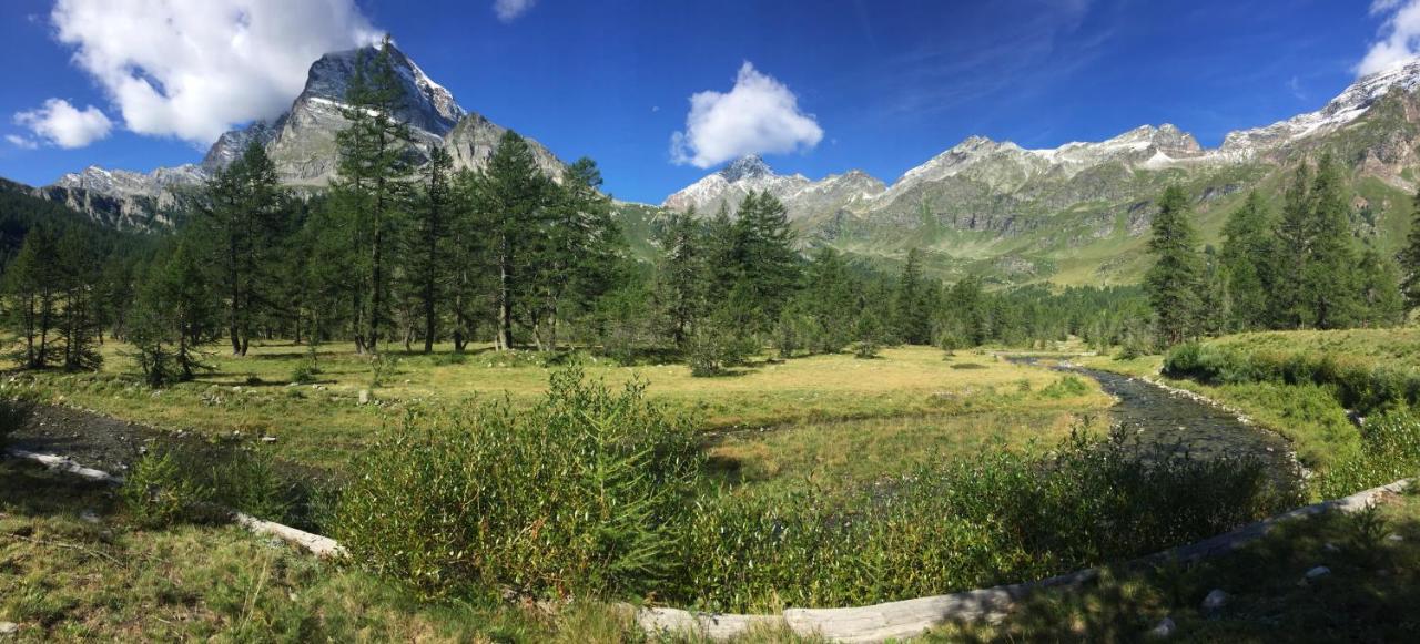 Chalet Il Picchio Frühstückspension
