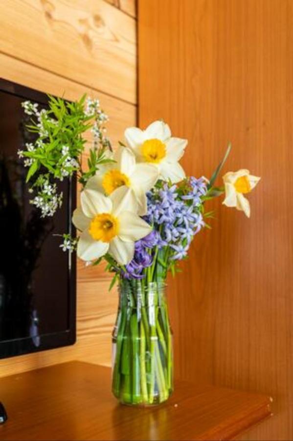 Bed & Breakfast Il Picchio Varzo